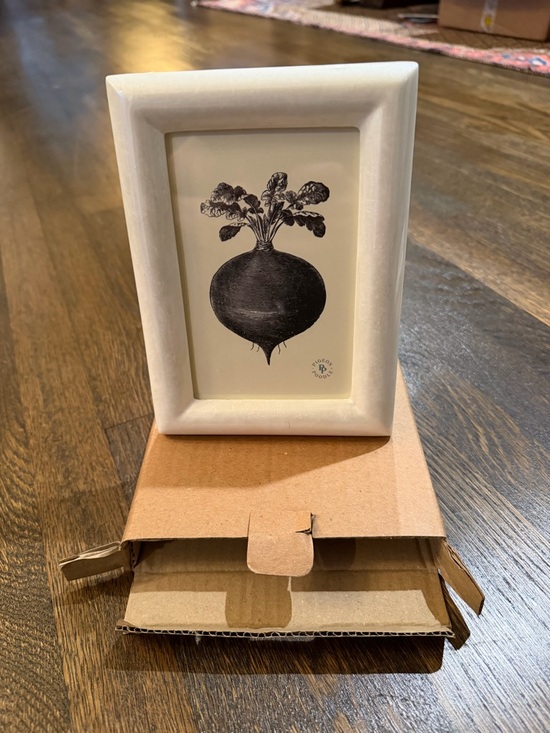 Pigeon and Poodle Other - NIB “PIGEON & POODLE” Burl Resin White Frame With Picture